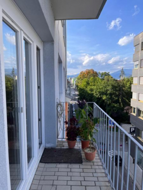 Zimmer Graz